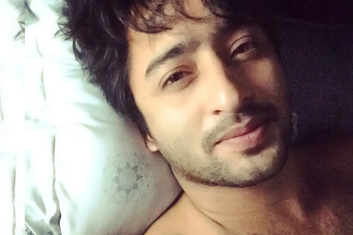 Shaheer Sheikh 
