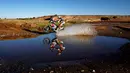 Pereli Australia, Toby Price, tampil pada babak ketujuh Reli Dakar 2016 di sekitar Uyuni, Bolivia, Minggu (10/1/2016). (Reuters/Marcos Brindicci)