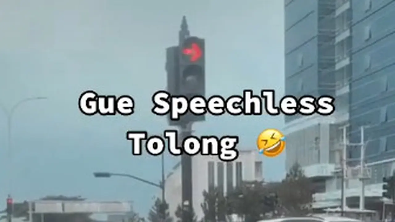 Viral, Aksi Kawanan Kambing Menyebrang Dengan Tertib Bikin Warganet Kagum