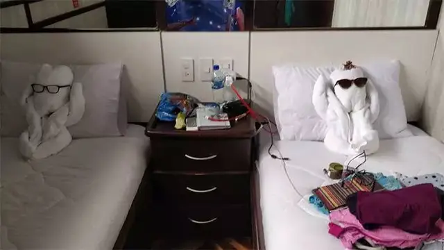 9 Potret Kocak Handuk di Kamar Hotel dengan Bentuk Binatang Ini Lucu Banget