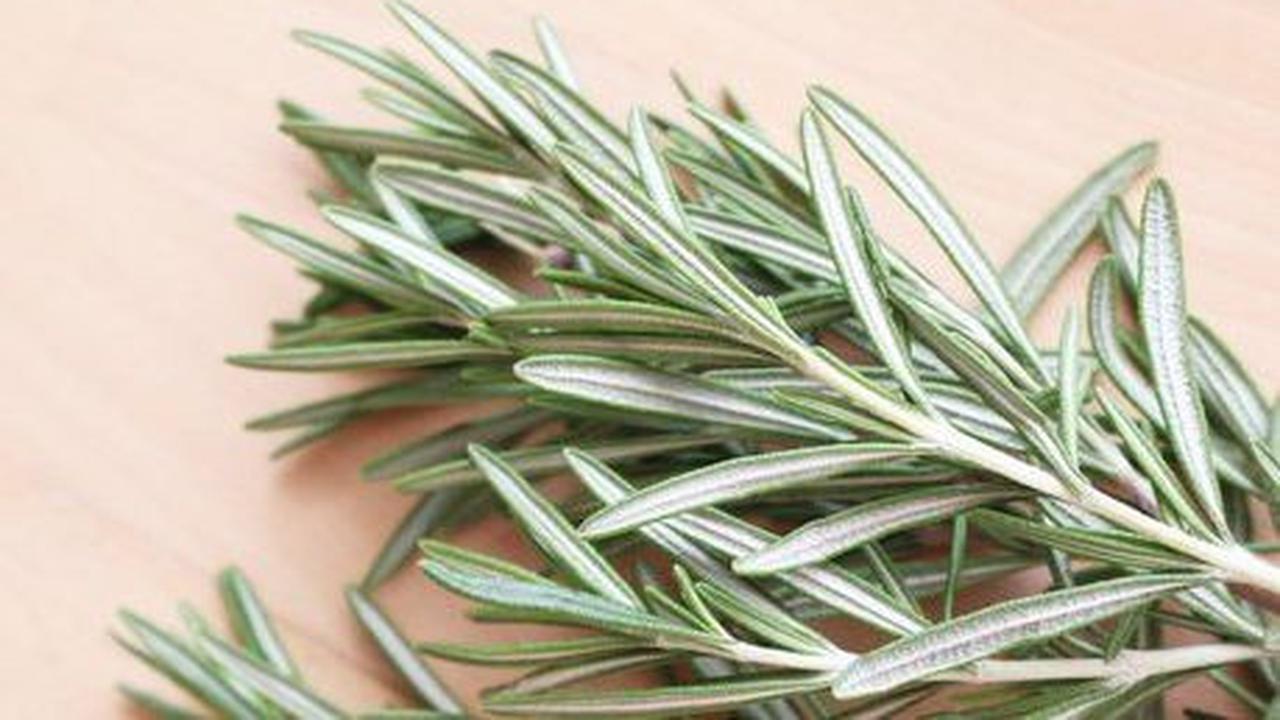 8. Rosemary