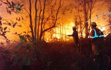 Damkar Tanjung Uban Berjuang Padamkan Kebakaran Lahan Empat Hektare hingga Malam Hari