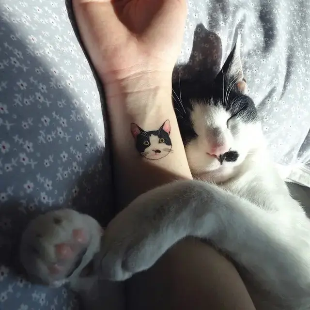 10 Potret Kocak Tato Bagi Pecinta Kucing Ini Hasilnya Lucu dan Menggemaskan