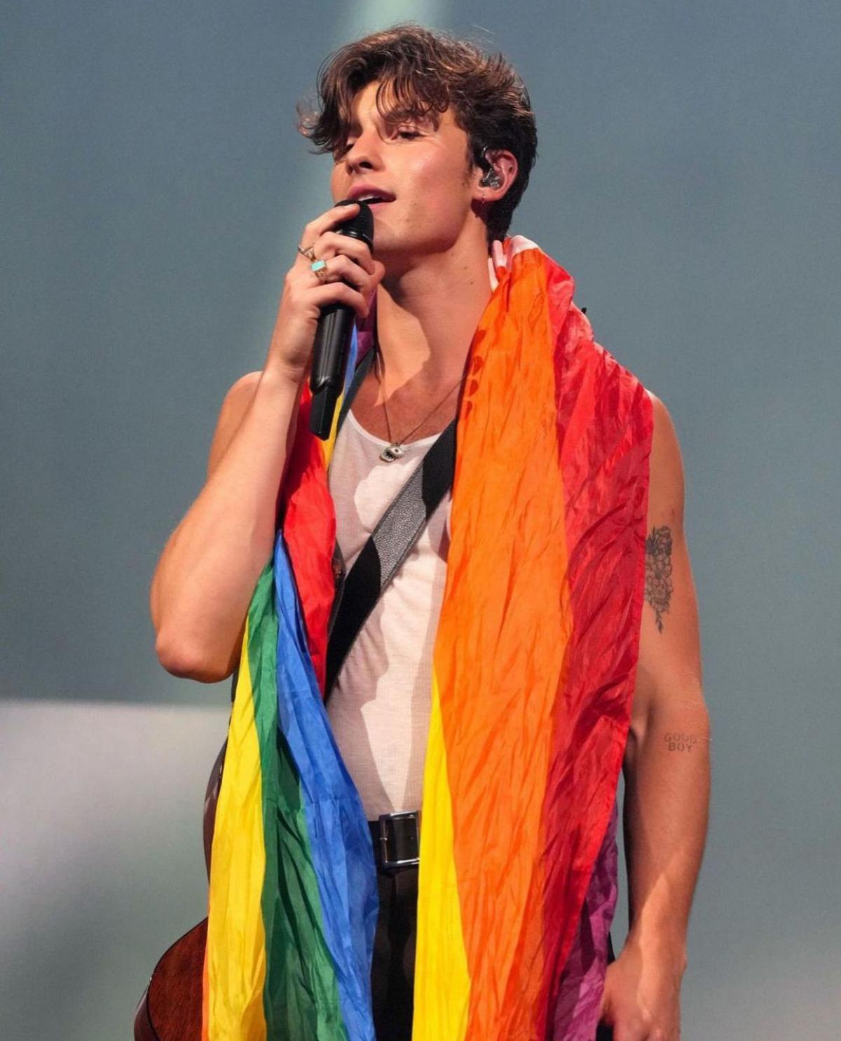 Shawn Mendes Ungkap Identitas Seksual, Ini Pengakuannya di&nbsp;Tengah&nbsp;Konser