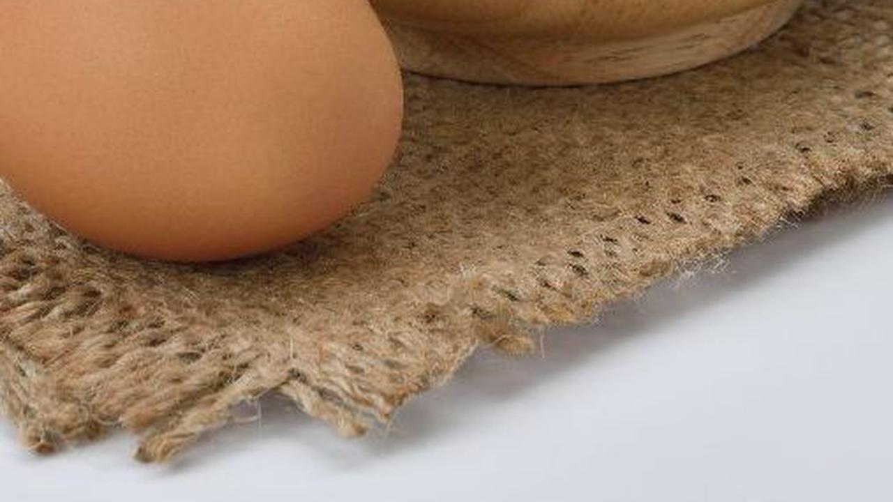 Harga Telur Naik, Mendag Zulkifli Bakal Lapor ke Presiden Jokowi