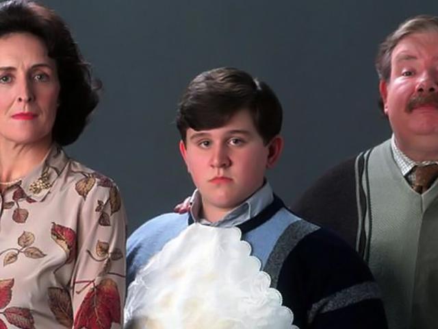 Wallpaper Alasan Di Balik Kebencian Keluarga Dursley Pada Harry Potter Desktop Wallpaper