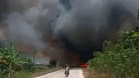 Kebakaran Lapak Kayu Merambat Hanguskan Lahan di Mesuji