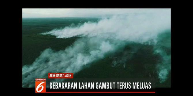 200 Hektare Lahan Gambut Aceh Barat Kebakaran