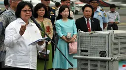 Kementrian Lingkungan Hidup dan Kehutanan, Siiti Nurbaya memberi pidato saat menyambut kedatangan 14 orang utan di Halim Perdanakusuma, Jakarta, Kamis, (12/11/2015). Sebanyak 14 Orang utan dikembalikan ke Indonesia. (Liputan6.com/JohanTallo)