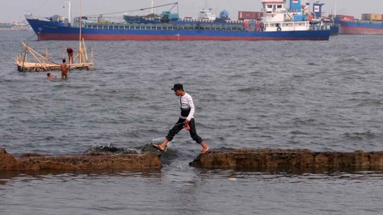 Memantau perkembangan proyek tanggul di Pantai Muara Baru