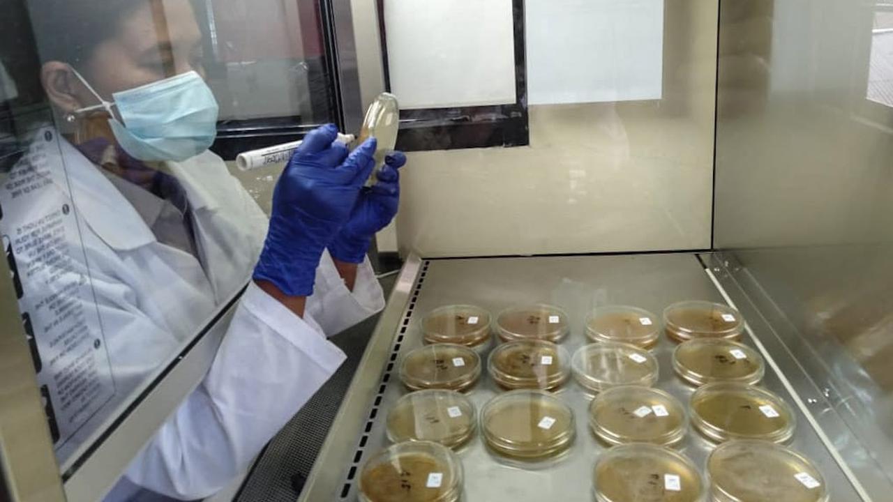 Monitoring dan pengambilan sampel yang dilakukan  sebagai upaya menjamin mutu dan kesehatan produk.