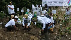 PT PLN Nusantara Power bersama Komunitas Mangrove Muara melakukan penanaman mangrove di Kawasan Eco Marine Mangrove Muara Angke, Jakarta, Kamis (7/12/2023. (merdeka.com/Imam Buhori)