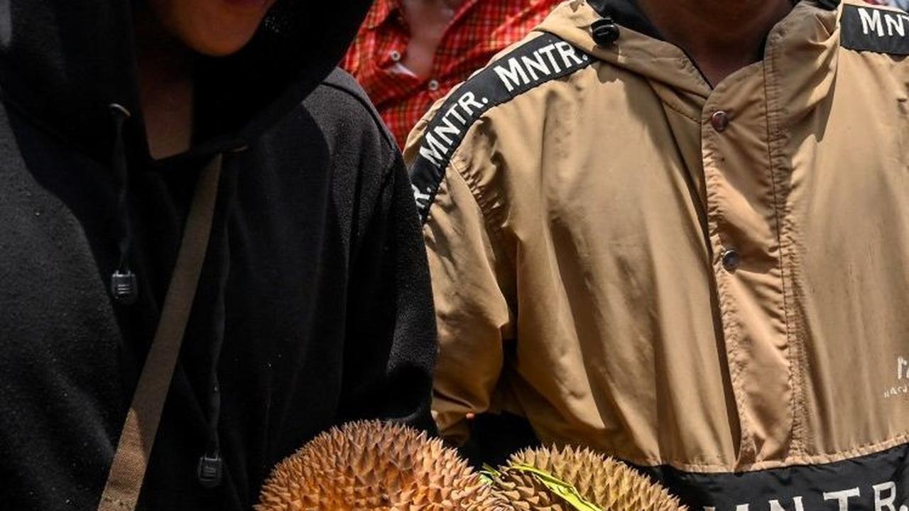 Meskipun beberapa orang tak begitu menyukai aroma khas durian, namun bagi penggemarnya, buah ini tetap dianggap favorit dan istimewa. Foto: JUNI KRISWANTO / AFP<br>