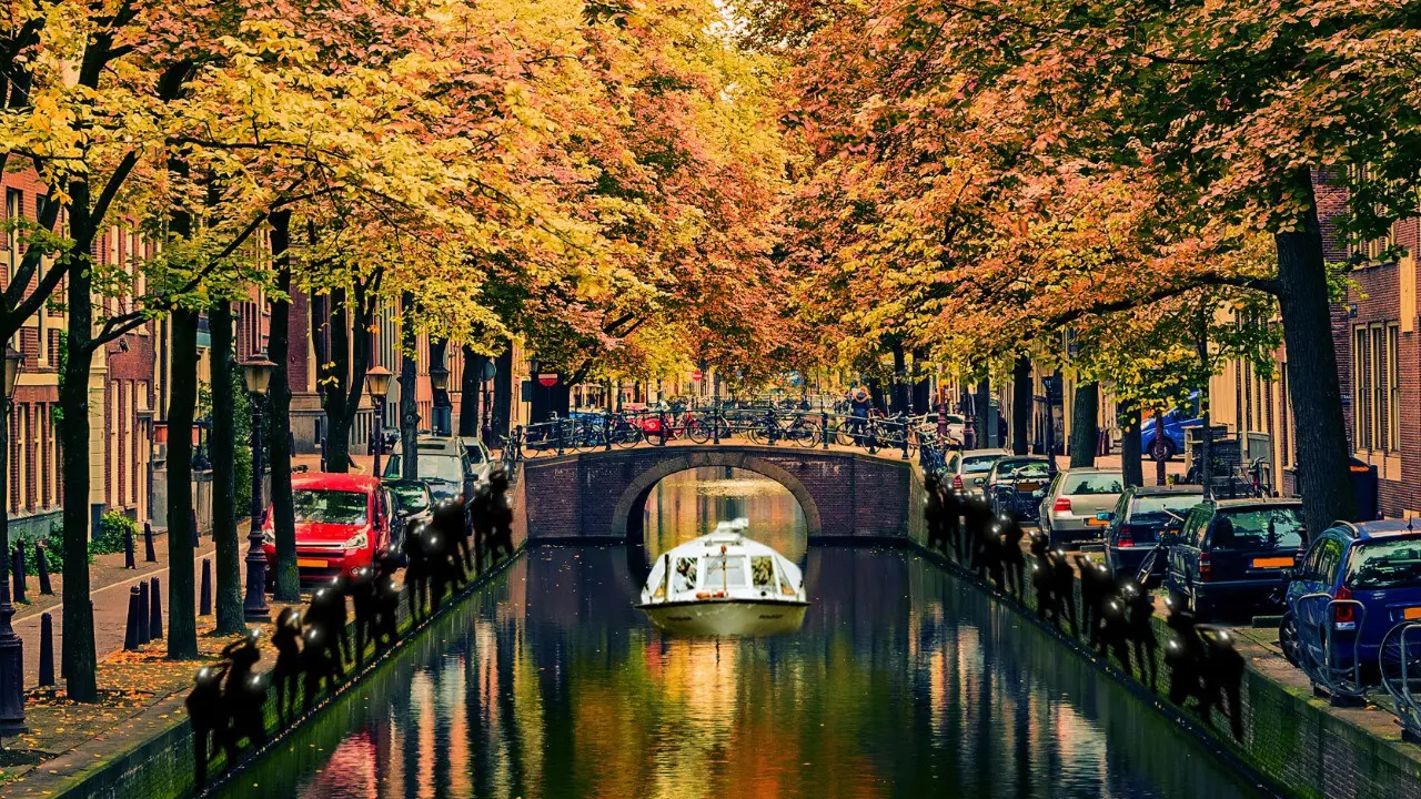 Karya seni Laila Azra di Amsterdam
