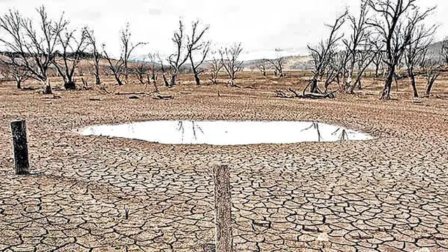 Ilustrasi Liputan Khusus El Nino