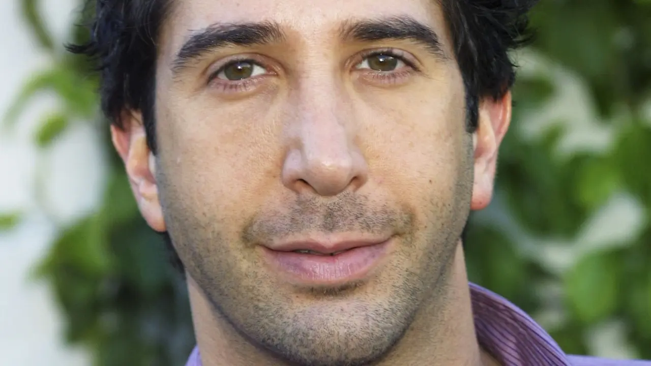 David Schwimmer