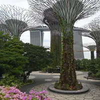 Seorang wanita mengunjungi Marina Bay di Singapura pada 6 Maret 2020. Tempat-tempat wisata utama di Singapura sepi dari turis di tengah epidemi virus corona COVID-19. (Xinhua/Then Chih Wey)