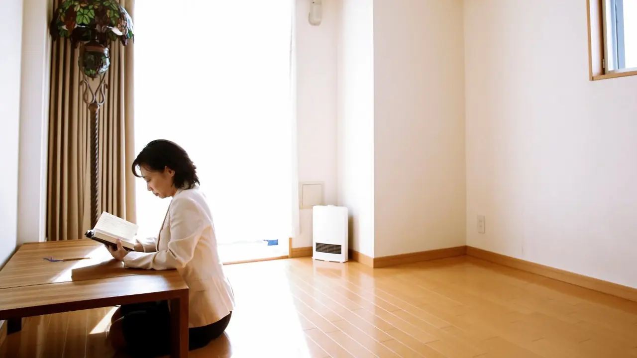 Furnitur Minimalis Jepang