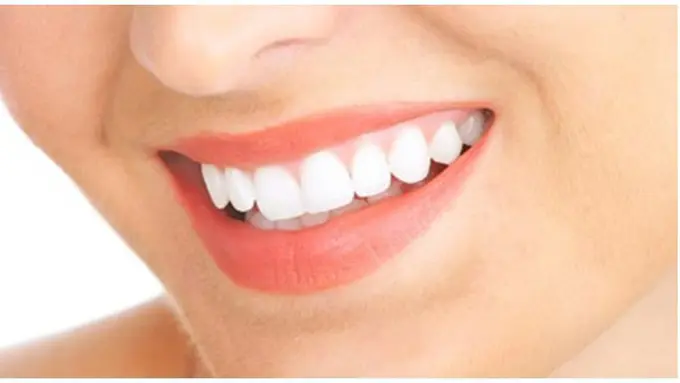 Foto: copyright shutterstock.com