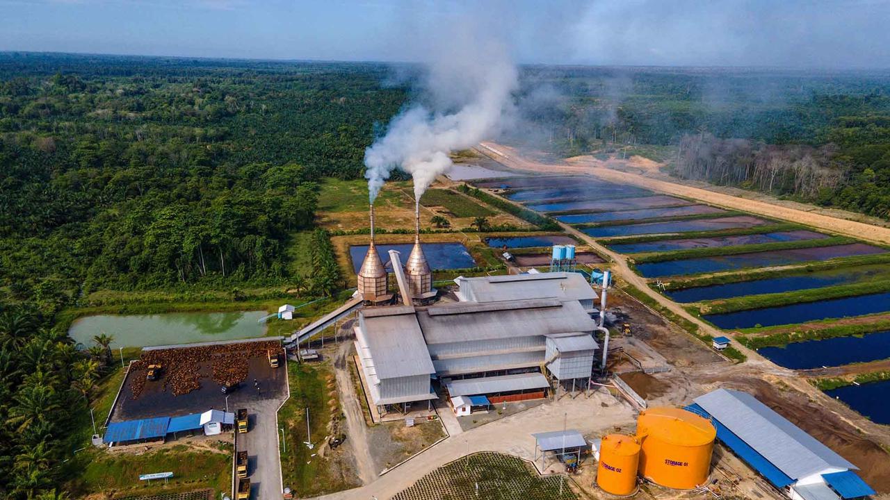 FOTO: Melihat Perkebunan Kelapa Sawit Rakyat Terbesar di Provinsi Aceh