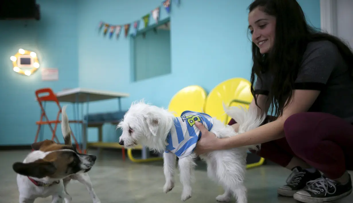 Pengunjung bermain dengan dua ekor anjing saat pembukaan Dog Cafe coffee shop di Los Angeles, California, AS (7/4). Di kafe ini pengunjung dapat bermain dan mengadopsi anjing yang berada di kafe ini. (REUTERS/Lucy Nicholson)