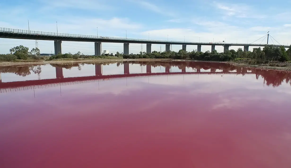 Danau Taman Westgate yang dialiri air dari Sungai Yarra dan Pelabuhan Teluk Philip di Melbourne, Australia berubah menjadi pink, 9 Maret 2017. Danau di Taman Westgate berubah berwarna pink beberapa kali, termasuk pada 2015. (HANDOUT/PARKS VICTORIA/AFP)
