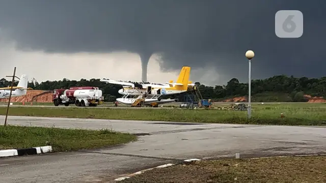 belalai langit
