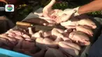 Pedagang daging rendaman ini berdalih, ayam menjadi lebih bersih bila direndam. 