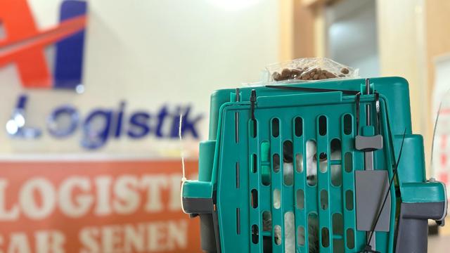 KAI logistik  menyediakan layanan pengiriman hewan peliharaan melalui KALOG Express