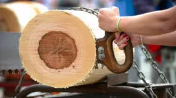 Ana Iraizoz memotong batang pohon dengan "tronza" (gergaji tradisional daerah Basque) saat kejuaraan olahraga pedesaan di festival San Fermin yang dihelat di Pamplona, Spanyol Utara, (8/7/2014). (AFP PHOTO/Ander Gillenea)