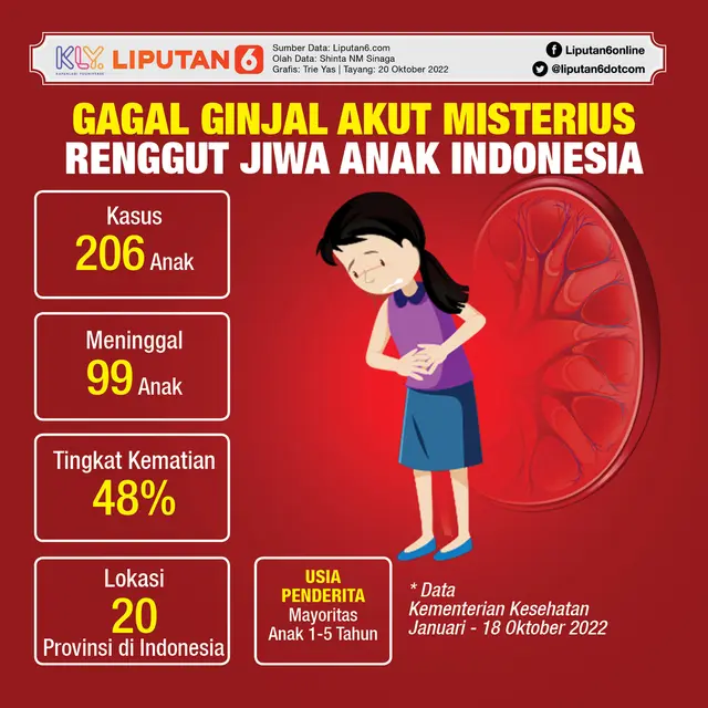 Infografis Gagal Ginjal Akut Misterius Renggut Jiwa Anak Indonesia