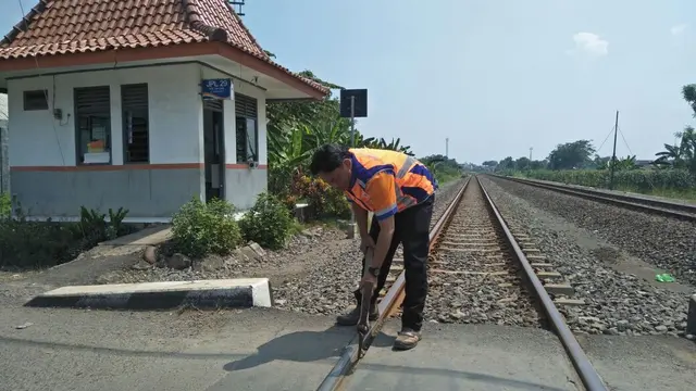 Penghargaan Hanya Piagam