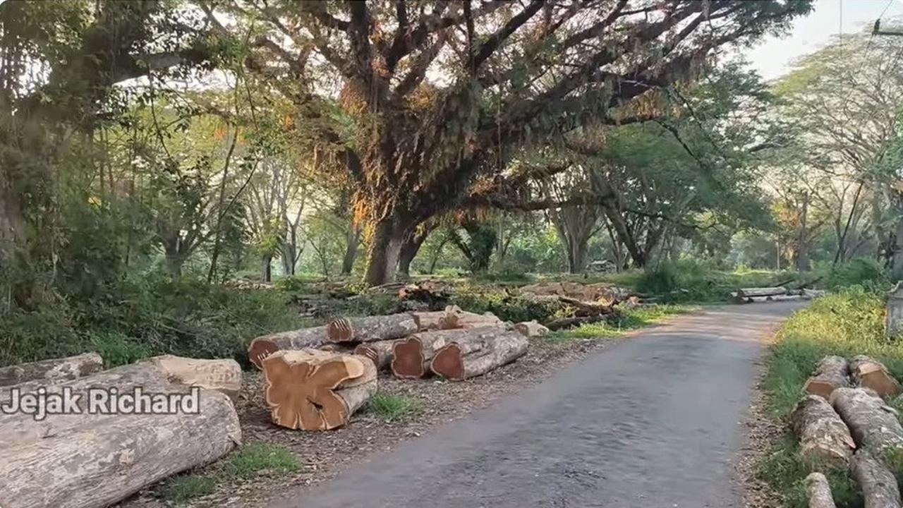 Bak Kampung Mati, Ini 8 Potret Rumah Masa Kecil Ari Lasso yang Sudah Lama Terbengkalai dan Tak Dihuni - Sering Jadi Tempat Uji Nyali