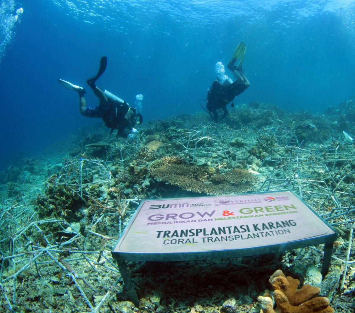 BRI melalui aktivitas Corporate Social Responsibilty (CSR) BRI Peduli Grow &amp; Green berkomitmen mendukung dan menjaga ekosistem dengan biodiversitas laut yang tertinggi dibanding ekosistem laut lainnya, melindungi pantai dan daerah pesisir, serta mengu