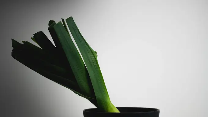 Ilustrasi bawang prei