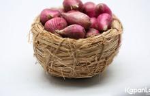 Pedagang Pasar: Harga Bawang Merah di Jabodetabek Sudah Naik 100 Persen