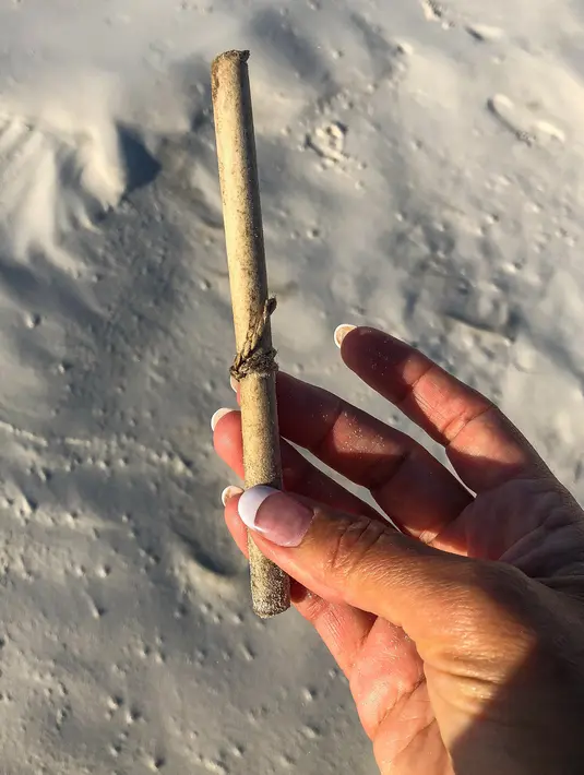 Sebuah kertas berisi pesan berusia hampir 132 tahun yang ditemukan di dalam botol di dekat Pulau Wedge, sekitar 160 kilometer di Perth (7/3). Pesan ini ditemukan di bukit pasir di pantai barat Australia oleh sekelompok pejalan kaki. (AFP Photo/Kym Illman)