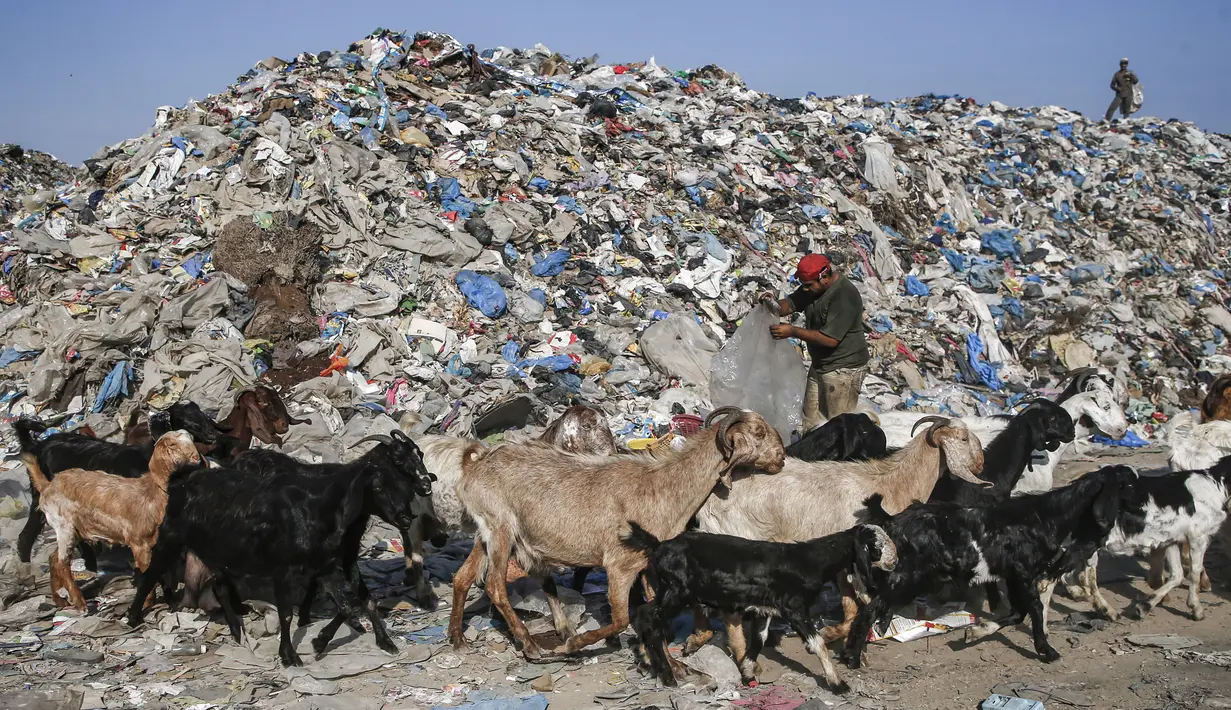 Para pengumpul sampah Palestina mencari sampah di tempat pembuangan sampah di Kota Gaza (29/7/2019). Kemiskinan yang terjadi akibat blokade Israel dan kurangnya kesempatan kerja membuat beberapa warga Palestina memilih bekerja mencari sampah untuk dijual. (AFP Photo/Mohammed)