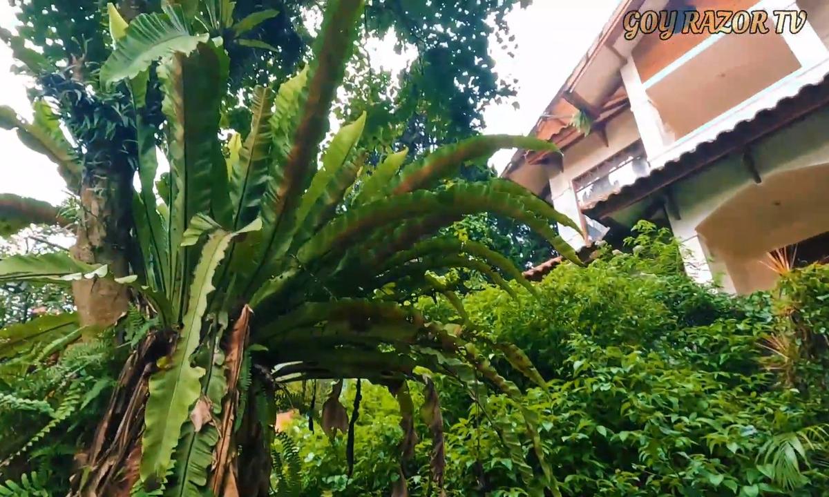 5 Potret Rumah Masa Kecil Ariel Noah yang Terbengkalai, Bangunan 3 Lantai Tawarkan Pemandangan Bandung nan Indah