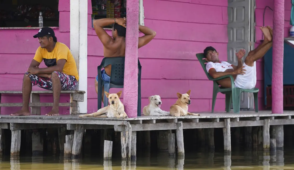Sejumlah pria dan anjing beristirahat di teras rumah di Cienaga Grande de Santa Marta, Nueva Venecia, Kolombia, 12 Oktober 2021. Sekitar 400 keluarga tinggal di rumah panggung di Cienaga Grande. (AP Photo/Fernando Vergara)