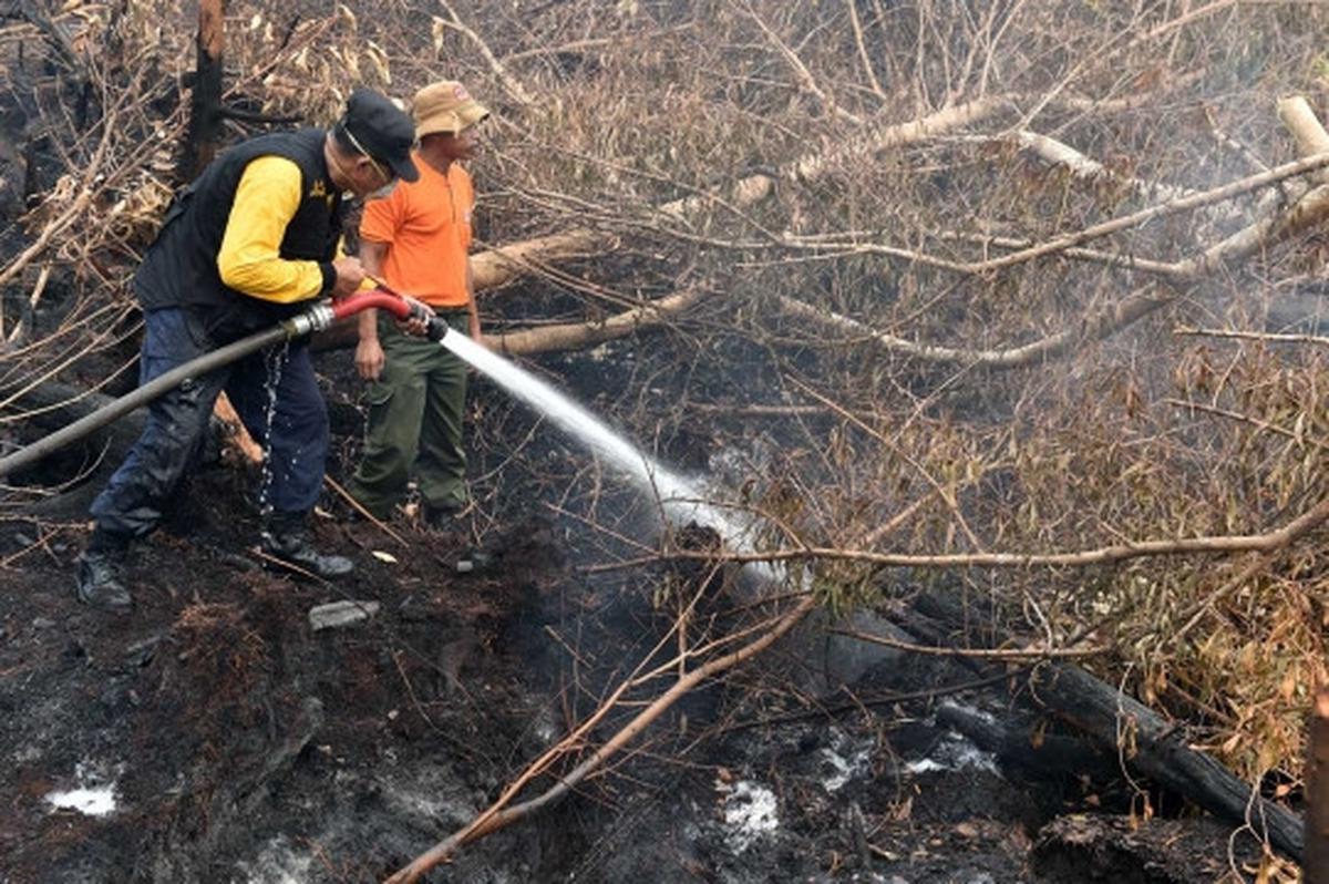 Melihat lebih dekat pemadaman kebakaran hutan Palangkaraya