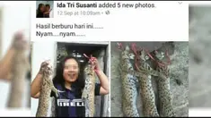 Belum lama ini ada mahasiswa mendapat kecaman di media sosial gara-gara memamerkan foto dirinya lakukan pembunuhan pada sejumlah kucing hutan. Tindakan keji yang dilakukan oleh segelintir orang tersebut tentu saja menyulut rasa amarah banyak orang. Mereka