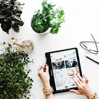 Ilustrasi belanja tanaman hias online. (dok. Unsplash.com/Brook Lark)