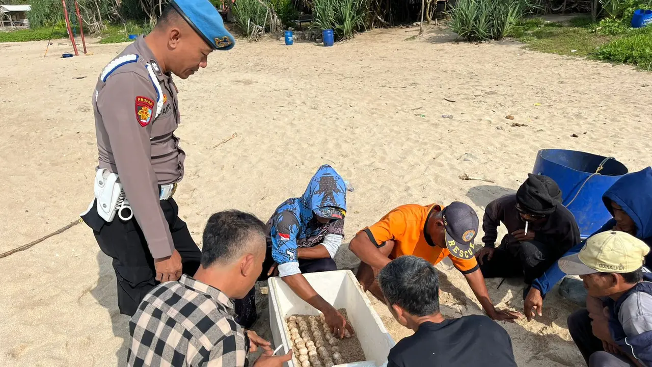 Sar Sarlinmas korwil 1 dibantu polisi dan relawan evakuasi Telur Penyu