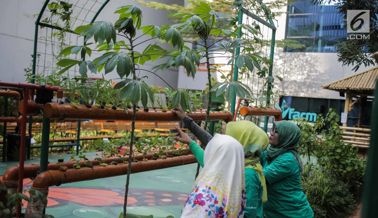 Petugas mengecek kondisi bibit bunga di Balkot Farm yang terletak di Balai Kota DKI Jakarta, Senin (16/9/2019). Balkot Farm menjadi percontohan upaya memanfaatkan keterbatasan lahan di area perkantoran untuk mengaplikasikan urban farming atau pertanian perkotaan. (Liputan6.com/Faizal Fanani)