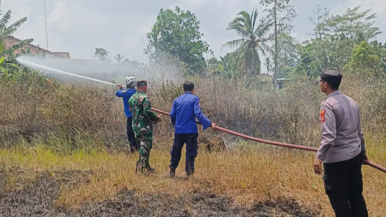 Angin Kencang Bikin Api Mengganas, 2 Hektare Lahan di Lampung Selatan Ludes Terbakar