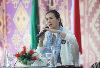 Wakil Menteri Pemberdayaan Perempuan dan Perlindungan Anak (PPPA) Veronica Tan (Antara)