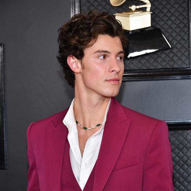 Gaya Shawn Mendes Di Karpet Merah Grammy Awards 2020 Tanpa Camila Cabello Lifestyle Liputan6 Com