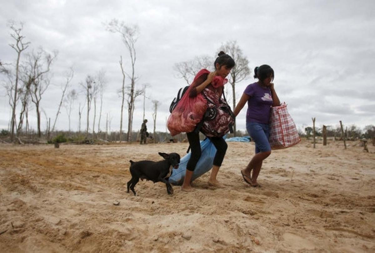 Kamp dibakar polisi, penambang liar di Peru tinggalkan Hutan Amazon
