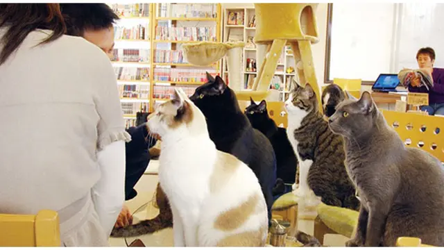 Foto : copyright kotaku.com